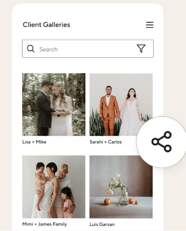 Honeybook and Pic-Time client galleries